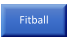 Fitball