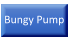 Bungy Pump
