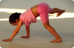 Fitball